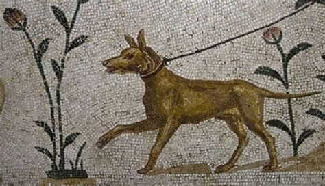 Ancient Greeks Love For Their Dogs