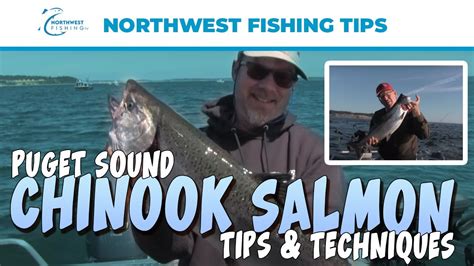 Puget Sound Chinook Salmon Tips And Techniques Extended Cut Youtube