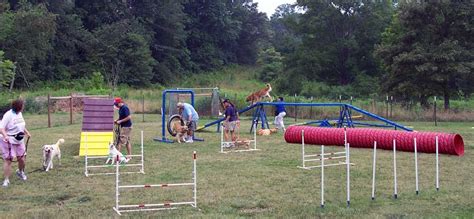 I'm debbie, owner and trainer at playtime paws. Agility Training — Atlanta Dog Trainer