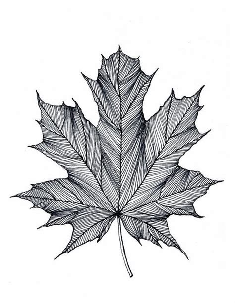 Pinned By ☾oohmyjupiterr Ink Pen Drawings Ink Art Maple Leaf Prints