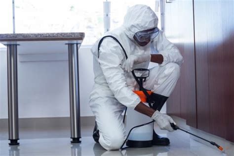 All exterminators carry specialised equipment, are insured, and can arrive for an emergency service within 2 hours. Pest Prevention Tips For Homeowners - Istriadalmaziacards