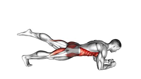 Front Plank With Leg Lift Male Exercise Guide And Tips