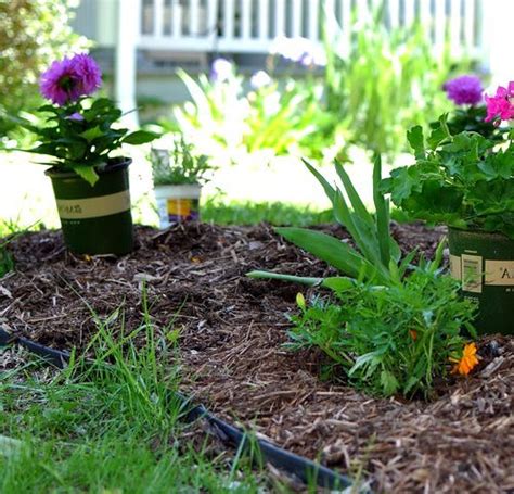 How To Prevent Weeds In Flower Beds Mygardenzone