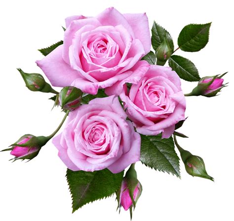 Garneck 2pcs wedding car flowers,rose artificial flower wedding car decoration ribbon flowers floral photo props for wedding car bridal car door handle mirror decor $10.29 $ 10. Roses Miniature Flowers · Free photo on Pixabay