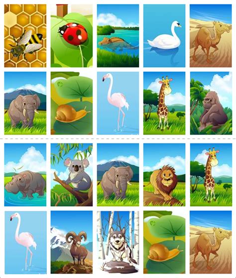 Animaux, musique, métiers, maison, dragons, licornes. Jeu de loto, les animaux - tipirate