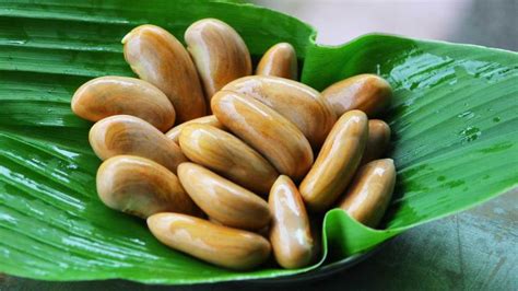 Jack Fruit Official Fruit Kerala Health Benefits Vitamins Misconceptions