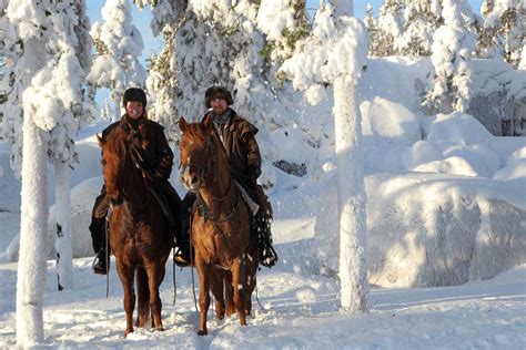 Horse Riding Winter Tour Luleå Swedish Lapland Luleå Travel