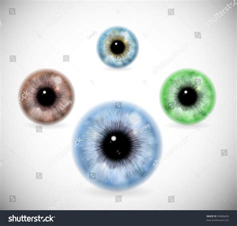 Realistic Image Of Pupil Eye Different Colors Eps 10 Stock Vector