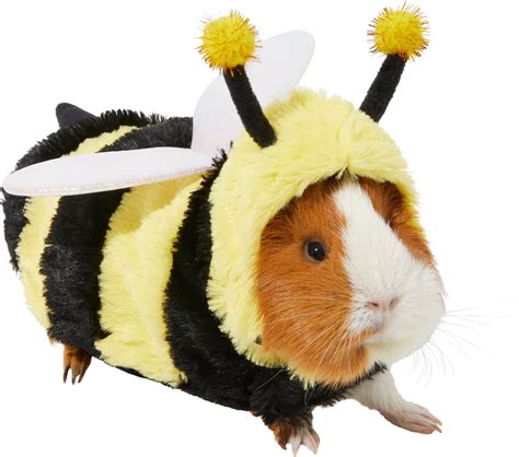 Frisco Bumble Guinea Pig Costume One Size