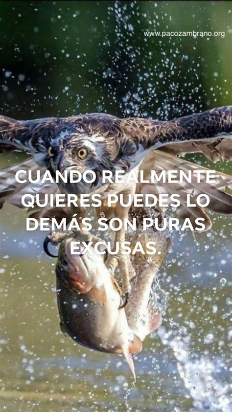 Muusika sin internet ozuna 2020 ozuna 2020. Imagen sobre Frases de superación personal de Marco ...