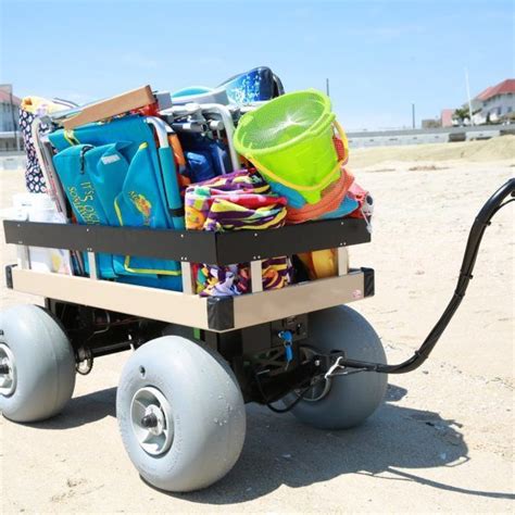 Sandhopper Motorized Beach