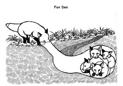 Animal Homes Coloring Pages Bear Coloring Pages Teddy Bear Coloring