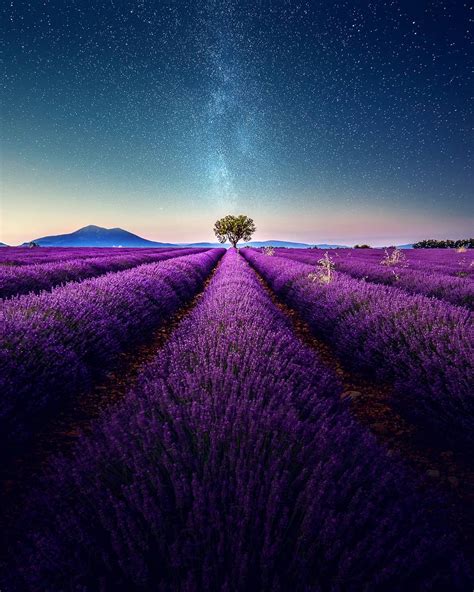 Breathtaking Aerial Photos Of A Lavender Field In Southern