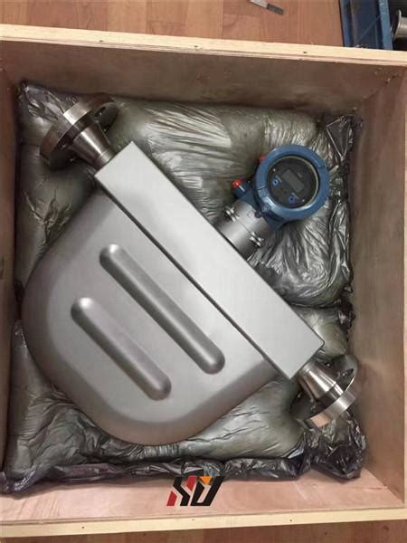 Emerson Micro Motion Flow Meter Rosemount R 100 And 1700 With D N Size