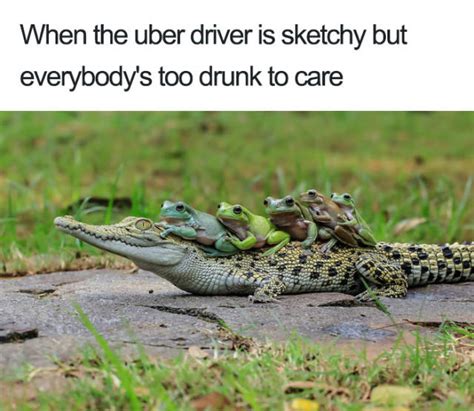 Uber Rides Can Only Be Described With Animal Memes