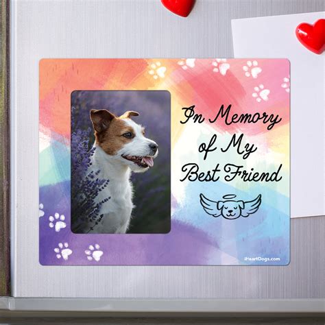 In Memory Of My Best Friend Picture Frame Magnet