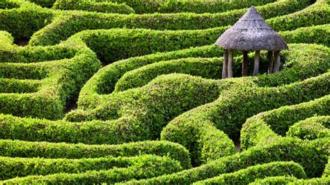 Amberforddesigns How To Build A Hedge Maze