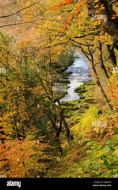High View Of Flowing Water Of River Wharfe In Scenic Valley And Autumn