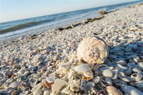 5 Best Beaches For Shelling In America Orbitz