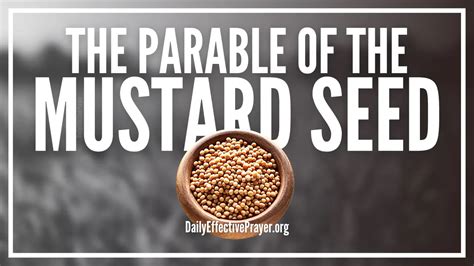 Parable Of The Mustard Seed What You Need To Know