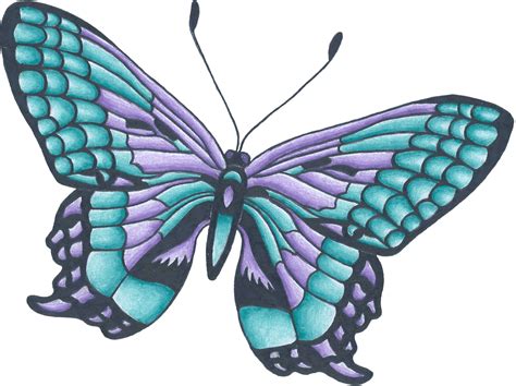 Butterfly Drawings With Color Free Download On Clipartmag