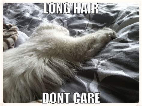 Long Hair Don T Care