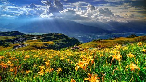 Spring Landscape Mountains Hills Lillies Yellow Flower Village Clouds