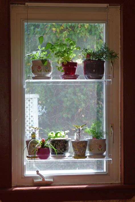 Hanging Window Plant Shelves Photo Gallery Beautiful Views Window