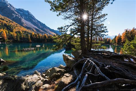 Peaceful Lago Di Saoseo Switzerland Beautiful Nature Cool Photos