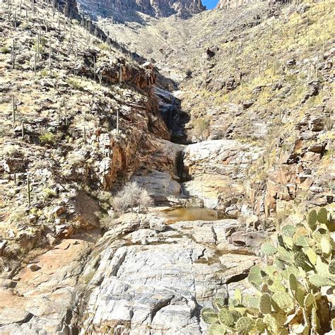Seven Falls Trail Sabino Canyon Tucson Atualizado 2022 O Que