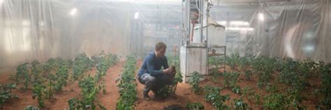Scientists may have confirmed that potatoes can grow on mars. "The Martian" was right: you really can grow potatoes on ...