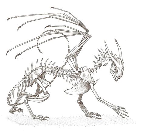 Random Dragon Skeleton 10100 Skeleton Drawings Dragon Skeleton Dragon Artwork
