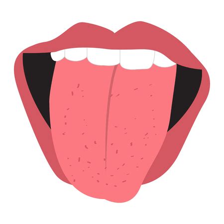 Tongue Smile Illustrations Et Vecteurs Libres De Droits Stocklib