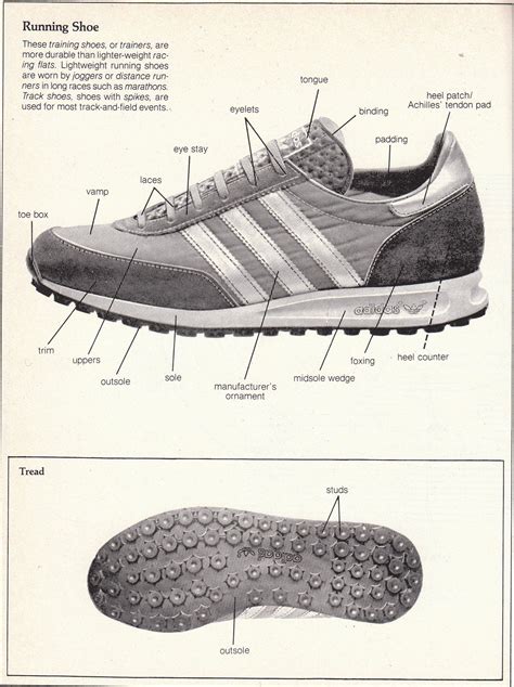 How To Pick Your Running Shoes Optimal Sports Therapy And Wellness