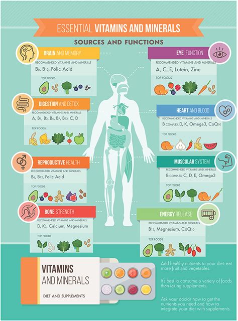 Essential Vitamins And Minerals Sources And Functions Infographic