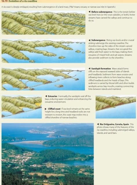 Types Of Coastlines