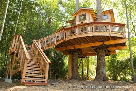 Treehouse By Nelson Treehouse Boomhut Beautiful Tree Houses Luxury Tree Houses Tree House