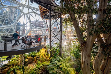 The Spheres Exploring Biophilia In The Modern Workplace Laptrinhx News