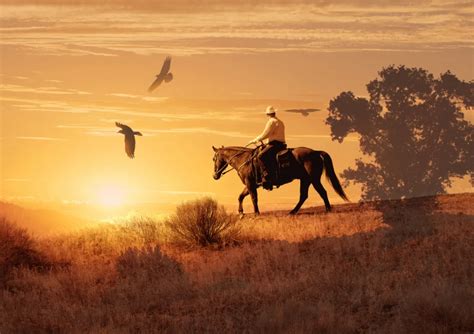7x5ft Wild West Field Cowboy Horse Sunset Sky Custom Photography