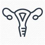 Gynecology Icon Vectorified