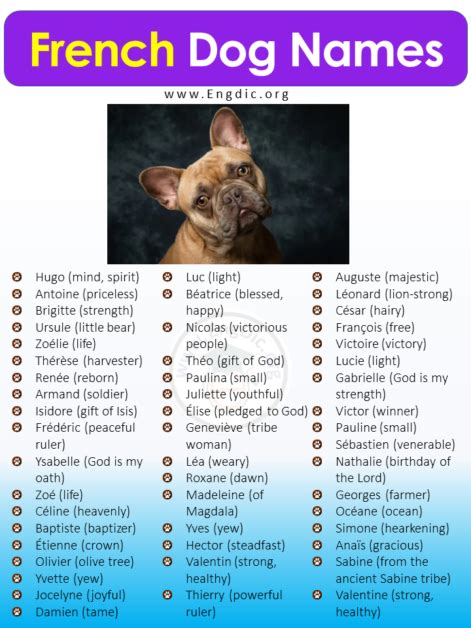 250 French Dog Names Malefemale With English Meanings Engdic