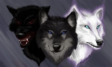 What Kind Of Wolf Are You 3 Personality Quiz
