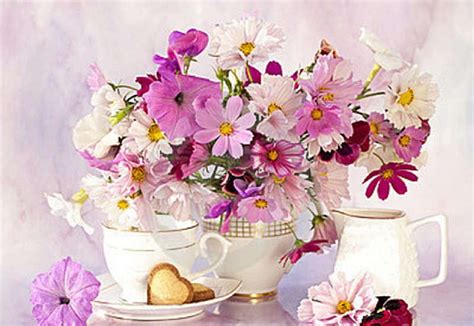 Asters Tea Still Life Flowers Asters Tea Hd Wallpaper Peakpx