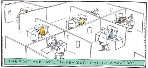 Mystery Fanfare Cartoon Of The Day Take Your Cat To Work Day