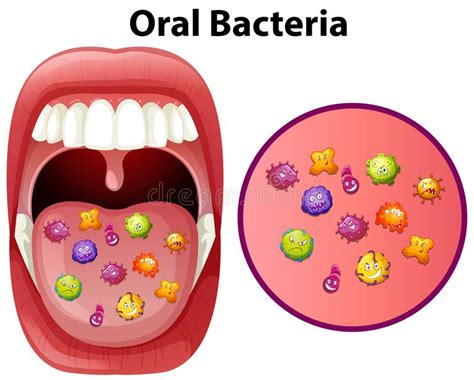 Dentistry Oral Bacteria Helping Viral Growth Toothessentials