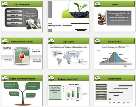 Powerpoint Business Plan Growth Template