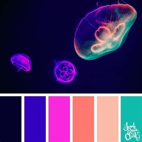 Eye Catching Color Combinations Inspirationfeed Purple Color The Best Porn Website
