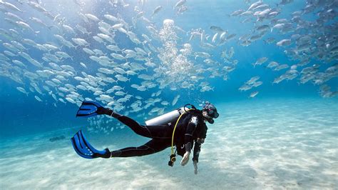 Fitness And Health For Diving Are You Fit For Diving
