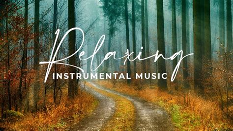 Relaxing Instrumental Music Youtube