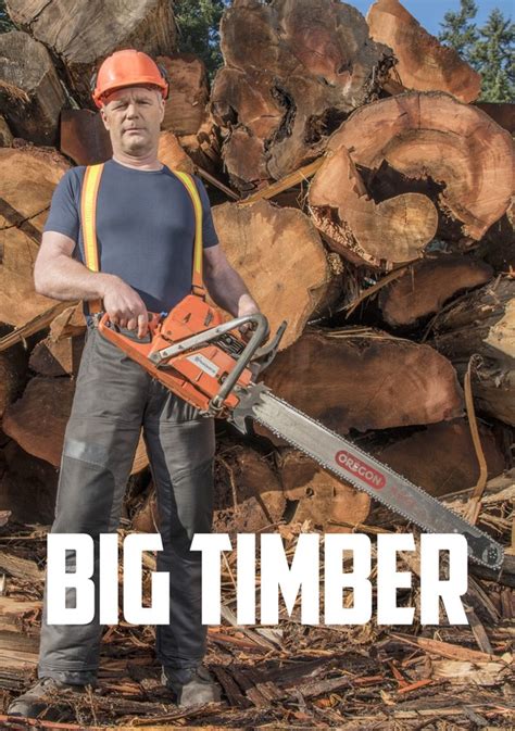 Big Timber Season 3 Release Date On Netflix Fiebreseries English